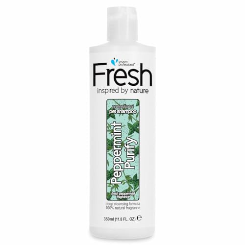 GROOM PROFESSIONAL Fresh Peppermint Purify Hundeshampoo Sensitiv - Natürliches Hundeshampoo für Hunde - Verleiht dem Fell Pflege und Glanz - Reinigt und Spendet Feuchtigkeit, 350ml