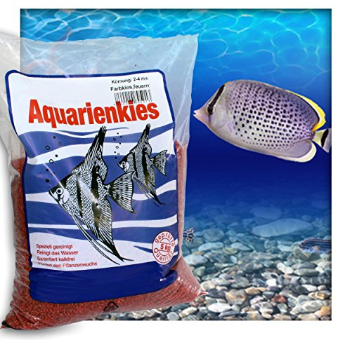 Kieskönig Farbkies Feuerrot Aquarium Deko Kies Aquariengrund Aquariumkies Bodengrund Körnung 2-4 mm 5 kg (1x 5 kg Beutel)