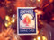 MAGICAPLANET My Power Deck – Kartenspiel – 16 Zaubertricks erklärt – Farbe des blauen Rückens