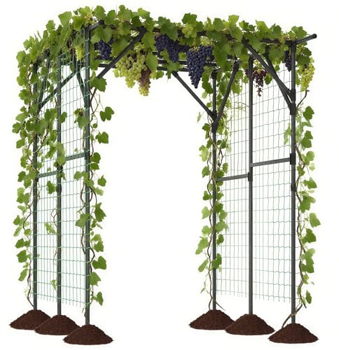 COSTWAY Rankgitter für Kletterpflanzen, Rankhilfe Garten, 200 x 150 x 197 cm, aus PE-beschichtetem Metall, Rosenbogen mit Netz, Gartenbogen für Gemüse, Obst, Blumen, Schwarz