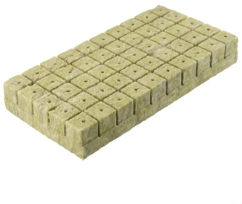 Zilimontt 50/100 cubi per coltivare, substrati di coltivazione per la clonazione e l'avvio delle piante, spugne di propagazione verdi 25 x 25 x 40 mm (50 pezzi)