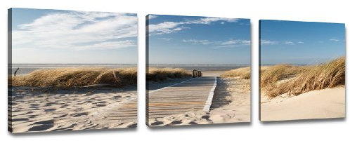 Visario 4221 Bilder auf Leinwand Bild 150 x 50 cm Strand Düne Nordsee - Ostsee drei Teile 50x50cm