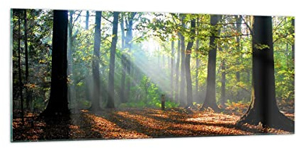 Panorama Bilder auf Glas 100x40cm Glasbild Wald Blätter Sonne Groß Wanddeko Bild im Glas Schlafzimmer Küche Wandbilder Dekoration Wohnzimmer Modern Wall Decor Wand Kunstdruck Art GAB100x40-0136