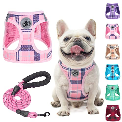 BEAUTYZOO Kleines Hundegeschirr und Leine, Set, kein Ersticken, kein Ziehen, weiches Netz-Hundegeschirr, reflektierend für extra kleine/kleine, Kariertes Hundegeschirr für XS S Haustiere (Rosa, M)