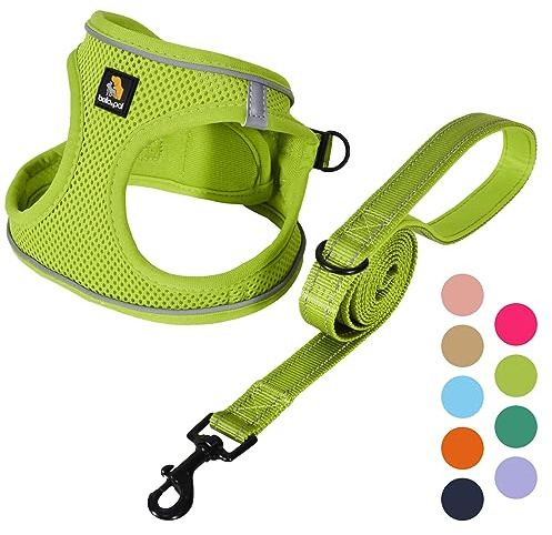 BELLA & PAL Hundegeschirr Kleine Hunde mit Leine, Step-in Geschirr aus Air Mesh, Anti Zug Reflektierend Atmungsaktiv Brustgeschirr, Welpengeschirr für Kleine Hunde, Katzengeschirr, Avocadogrün, XXS