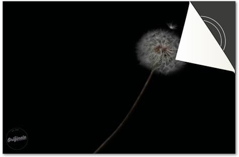 Induktionsschutz von Dietrix - Schutzmatte 78x52cm - Pusteblume Schwarz Weiß - Base - Für Induktionskochfeld/Induktionsherd - Herdabdeckung Ceranfeld - Helle Unterseite - Herdabdeckplatte