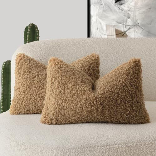 Foindtower Gelockten Teddywolle-Kissenbezüge, dekorativ, Bouclé, strukturiert, Lendenwirbelkissen, Kunstfell, Sherpa-Kissenbezüge, Schaffell, flauschig, für Sofa, Schlafzimmer, Auto, 2er-Set, 30,5 x