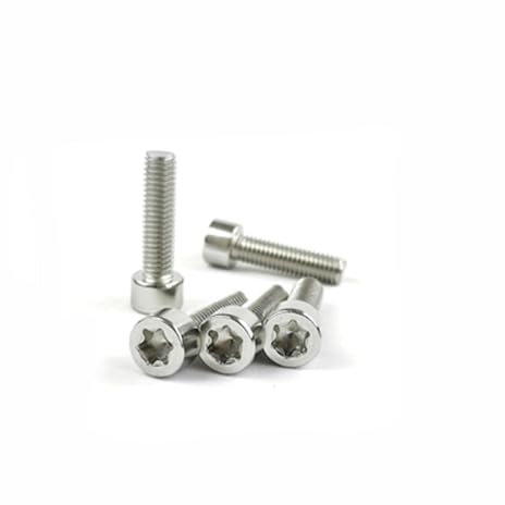 Voirrow 23 Stücke M8 Torx Schraubenbolzen Zylinderkopfschrauben Diebstahlsicherungsbolzen Nägel Pan 304 Edelstahlgewinde Nagel(M8x20mm)