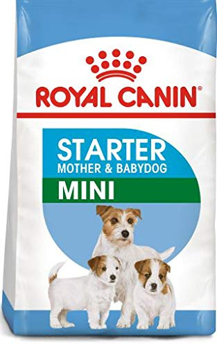 Royal Canin Mini Starter 1 Kilo cibo per cuccioli per cani e mamme