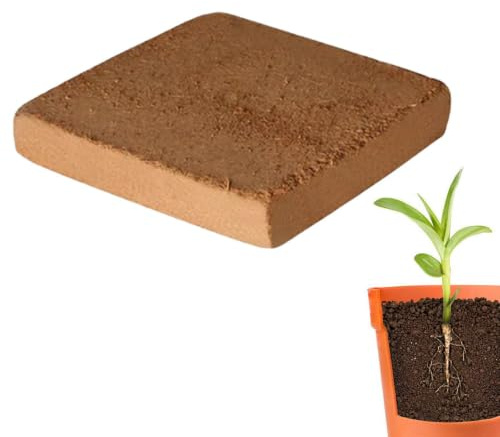 Torba di Cocco per Piante Substrato in compressi per terriccio da giardino | Terriccio Organico Per Interni per Interni Esterni Balcone Giardino Ortaggi Fiori Monstera Piante da Appartamento