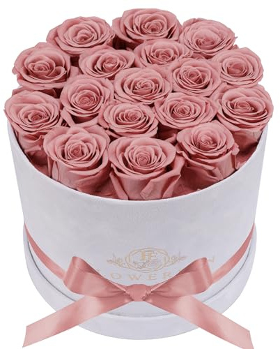 Prifroti 17 Flowers in a Luxury Suede Box, Birthday Gifts for Women, Preserved Flowers, Mothers Day Roses Gift for Mom, Dusty Rose