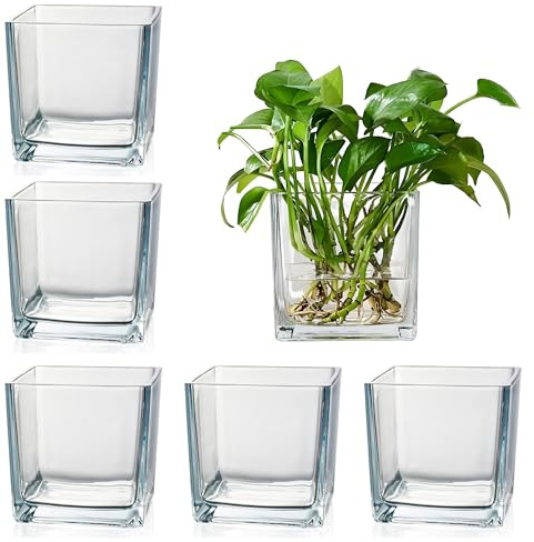 Set of 6 Square Glass Vases for Centerpieces – 4 x 4 x 4 Clear Short Vases, Flower Vase, Plant Terrariums, or Candle Holders for Wedding Centerpieces, Office Decor, Home Décor, Parties