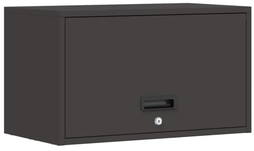 Tomostar Armoire Murale de Rangement Garage, Armoire Suspendue à Outils en Métal pour Atelier Garage Noir 60x33x35 cm