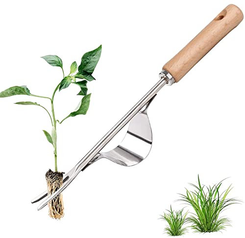 Edelstahl Unkrautstecher,Unkrautjäter Edelstahl,Garten Hand ​Weeder,Unkraut Jäten Werkzeug für Garten,Garten Manueller Weeder,jäter,Gartenarbeit Gabel mit Naturholzgriff für Graben Jäten Lösen 12,2 in