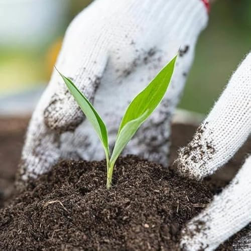 Suelo Universal para Plantas Sustrato 10L para Todo Tipo de Plantas Interior y Exterior