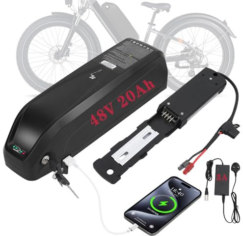 R TEAM Ebike Battery 48v 20AH with 3A Charger, USB Port,Built in Samsung 50GB Cells,Lithium Electric Bike Battery for 1200W 1000W 750W 500W 250W Motor (Bafang, AW, KT most ebike conversion kit)