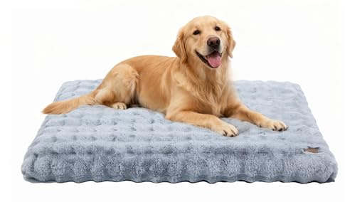 BingoPaw Panier Chien Grande Taille: 120x90x12cm Coussin Chien XXL Déhoussable et Lavable en Machine, Tapis Matelas Lit, Base Antidérapant Tissu Peluche Doux, Gris