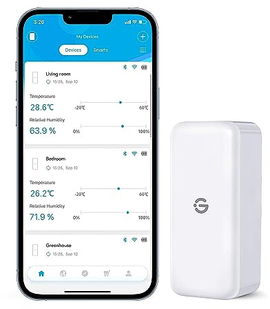 GoveeLife Hygromètre Thermomètre Intérieur Capteurs 1 Pack | Mini Bluetooth Température et Humidité Mesureur avec Notification App et Stockage de Données, Convient pour Serre, Cave à Vin
