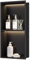 Neohomee Douche murale en acier inoxydable avec lumière LED - Double cabine de douche noire - Rangement pour salle de bain - 60 x 30 cm