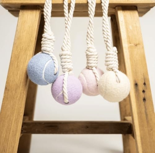 Wauzebacke Hundespielzeug, Tennisball mit Seil 32cm in verschiedenen Pastellfarben, interaktives Wurf- und Zerrspielzeug, Zahnpflege, langlebig (Hellblau)