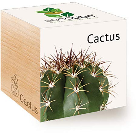 Feel Green - Ecocube, Idea Regalo (100% Ecologica), Kit per Far Crescere la Propria pianta, Piante in cubi di Legno da 7,5 cm, Prodotto in Austria