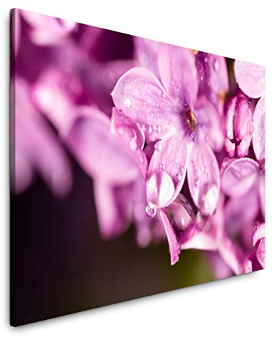 Paul Sinus Art Blumen in pink 150 x 100 cm Inspirierende Fotokunst in Museums-Qualität für Ihr Zuhause als Wandbild auf Leinwand in XXL Format