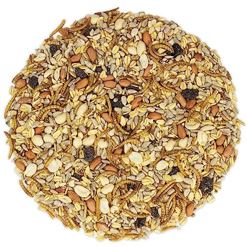 vogeltreff24 Premium-Futtermix schalenfrei für Wildvögel - hochwertiges Wildvogelfutter zur ganzjährigen Fütterung, 10 kg