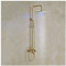 CHCWR Sistema de Ducha de Oro con Ducha de Agua fría y Caliente Juego de grifos multifunción de Doble manija de Ducha con Cabezal de Ducha LED, Ducha de Mano, bañera, 10 Pulgadas (12 Pulgadas)