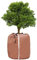Sac Antigel pour Plantes en Pot 65 x 70 cm, Protection Hivernale pour Plantes en Pot, avec Fermeture Éclair et Cordon de Serrage, Facile à Installer, Conserve la Chaleur, Protection Contre Le Gel