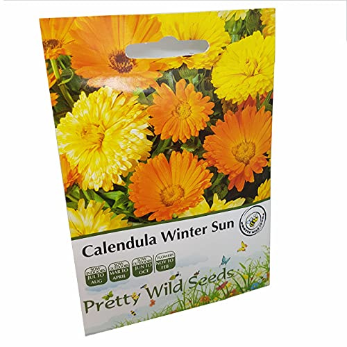 Calendula Winter Sun Seeds in Pictorial Packet from UK Seller