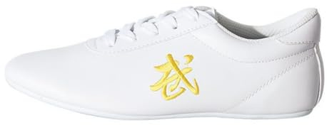 Tai chi Shoes Non Slip Sneakers Training Sport Tai chi Kong Fu Shoes for Taekwondo,Tai-Chi Wu Shu Kung fu Shoes for Men Women Comfortable Lightweight Martial Arts Shoes(Size:41 EU/8 US,Color:White)