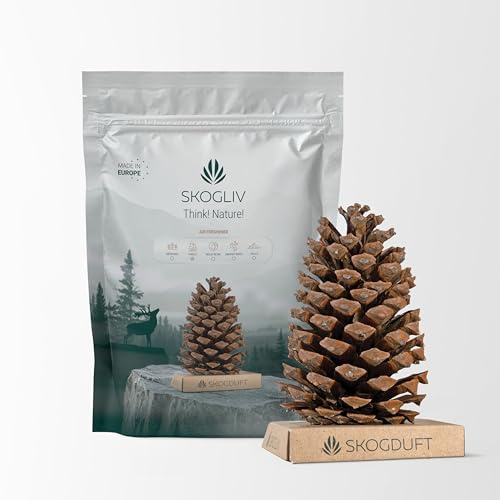 Skogliv Air Freshener - Natural Pine Cone Scented with Scandinavian Hills Fragrance - Biodegradable Formula - Decorative Home Accent - Clean Planet Contribution - Invigorating Indoor Atmosphere