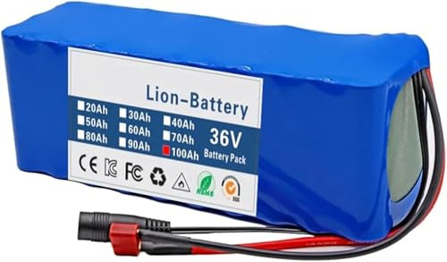 Batteria Litio 36V 100Ah PVC, Alta Autonomia, per Bici Elettrica e Scooter, Alta capacità per Motori 250-500W, con Caricatore 42V 2A T+DC