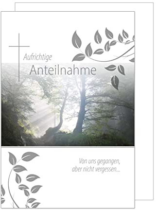 Edition Seidel Premium Trauerkarte mit Silberprägung und Umschlag. Beileidskarte Trauer Karte mit Spruch aufrichtige Anteilnahme Nebel Wald Abschied Teilnahme Mitgefühl (T928 SW023)