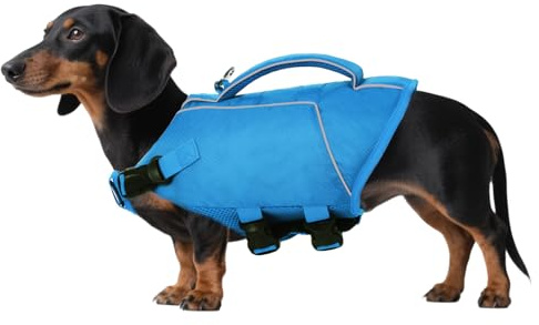 ASENKU Salvagente Cane, Giubbotto Salvagente Cane per Cani di Piccola Taglia Media Grande, Salvagente per Cani con Manico e Riflettente, per Bassotto, Chihuahua, Bulldog Francese, Labrador, ecc. XS