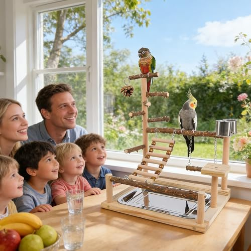 Vogel-Spielständer aus Holz – Vogel-Sitzstange, Vogelkäfig-AST, Naturholz, Papageienkäfig, Spielzeug, Vogelzubehör, Spielplatz, Holz, Fitnessstudio, Laufstall für Nymphensittiche, Finken, Lovebirds
