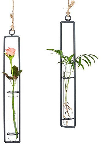 Sziqiqi Uppsättning av 2 hängande planterare terrarium, metalljärn klart glas provrör blomvashållare, vägg hydroponiska växter dekor, dekoration för vardagsrum badrum sovrum kök, M + M