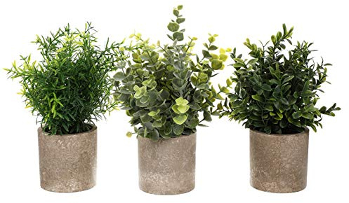TOGEVAL 3pcs Mini Potted Artificial Plants Realistic Bonsai Faux Eucalyptus Fake Plant Decor for Home Office Bathroom