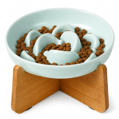 Ciotola Anti Ingozzamento Gatto Rialzata - Ciotola in Melamina con Supporto in Bambù Antiscivolo - Scodella Cibo Gatti per Alimentazione Lenta - Blu pallido