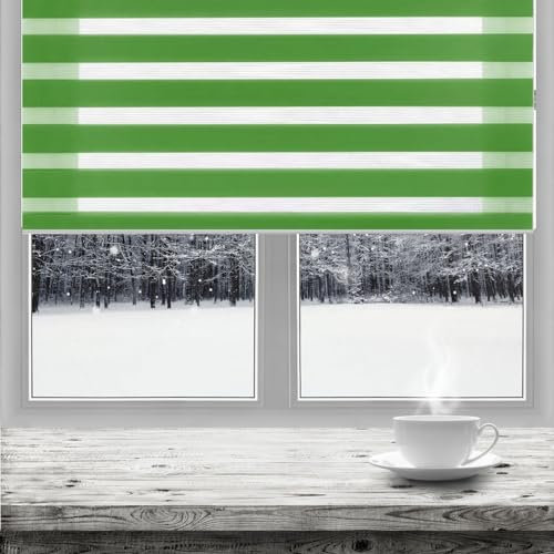 Estor Enrollable De Doble Capa Noche Y Día 65 x 150 cm fácil instalación Persianas Enrollables Interior Fijación sin Taladrar para Dormitorio y guardería, Verde