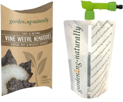 Vine Weevil Nematodes 100sq.m Gardening Naturally with Bag Applicator