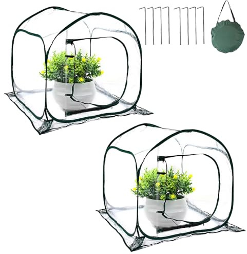 2 Stück Mini Gewächshaus Pop Up Winterschutzzelt für Pflanzen Transparentes Pflanzenschutz Winter Zelt mit Reißverschluss Tür Wintergewächshäuser Frostsicher mit Aufbewahrungstasche, 80x80x80cm