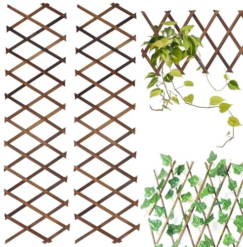 Lot de 2 treillis de plantes extensibles - 140 x 36 x 0,5 cm - Treillis en bois - Couleur bois - Treillis de jardin en bois - Cloison de séparation pour plantes grimpantes - Pot de fleurs suspendu
