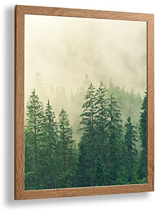 Monaldo Deluxe Bilderrahmen Posterrahmen 64 x 48 cm Sumpfeiche Dekor Wechselrahmen weisser Hintergrund klares Kunstglas