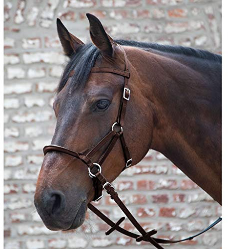 LINDA TELLINGTON JONES Lindel Vollblut, braun