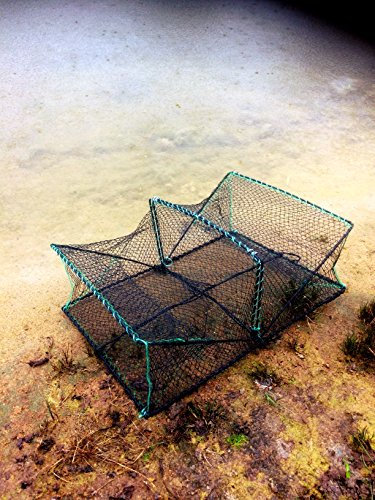 Machermann Nr. 30A Plattfischkorb 60cm x 43cm x 22cm, Köderfischreuse,Krebsreuse, Krebskorb, Krabbenreuse, Krabbenkorb, Reusen