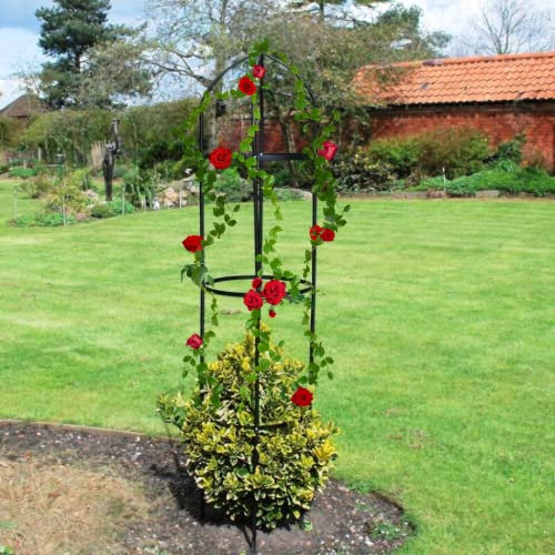 Garden Mile Obelisk Large Metal Strong Tubular Plant Cage for Garden Decoration - Heavy Duty Climbing Plants Support Structure for Ivy, Clematis, Roses and Other Climbing Flowers - (2M, Single)