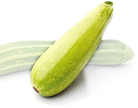 Semillas de Calabacín muy Fácil de Cultivar Variedad Calabacín Genovés