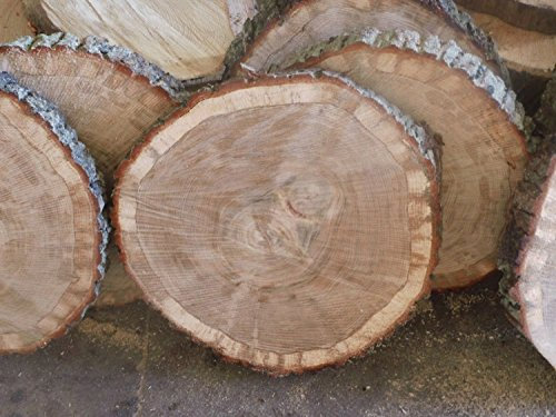 KJR Holzmanufaktur 10 Baumscheiben, Holzscheibe,ca. 15 x 2 cm, basteln, Holz,Eiche