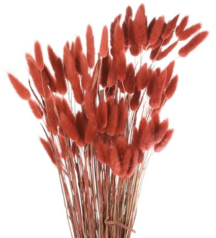QUARKZMAN Hasenschwanzgras Getrocknet - Braun, 120 Stück Getrocknete Blumen, 60cm Pampasgras Natürlicher für Florale Hochzeitsdekoration Weihnachten